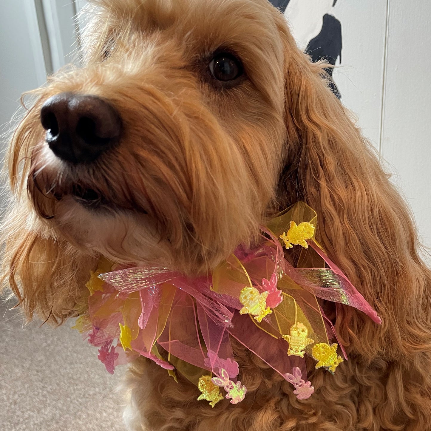 Worn by medium size cockapoo. Fun elastic frill for dogs. Pastel pink and yellow tulle frills with foil pink rabbits and yellow chicks on the end of each tulle frill. One size.