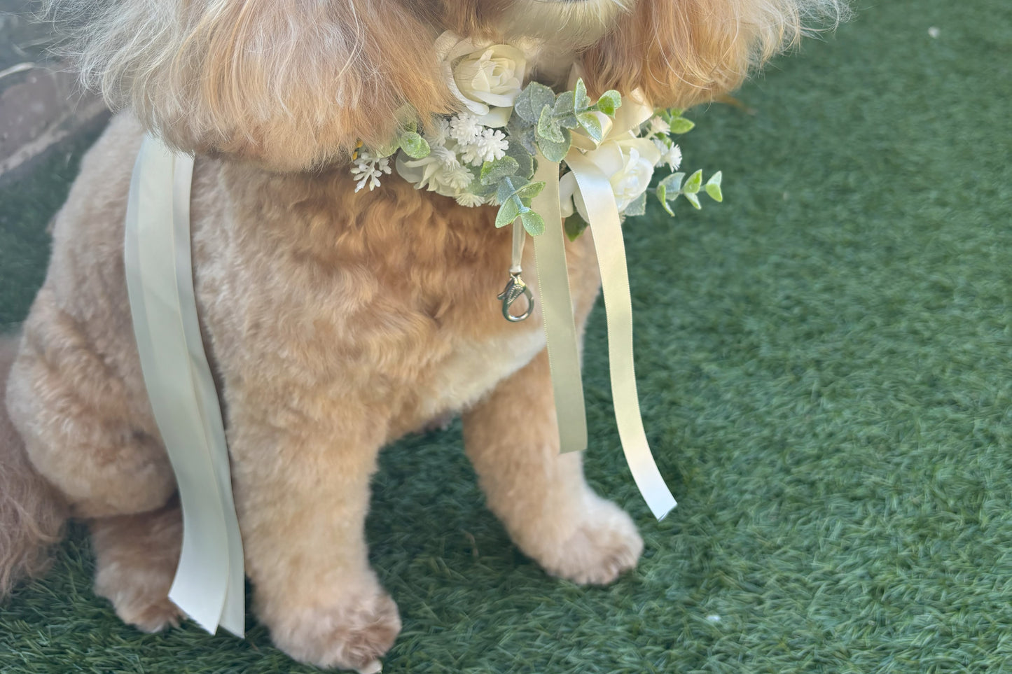 Ivory Silk Dog Ring Bearer Collar. Featuring delicate ivory silk roses and buds with a touch of woodland frosted greenery, this collar is finished with your choice of satin ribbon to match your colour scheme. Optional ring bearer clasp