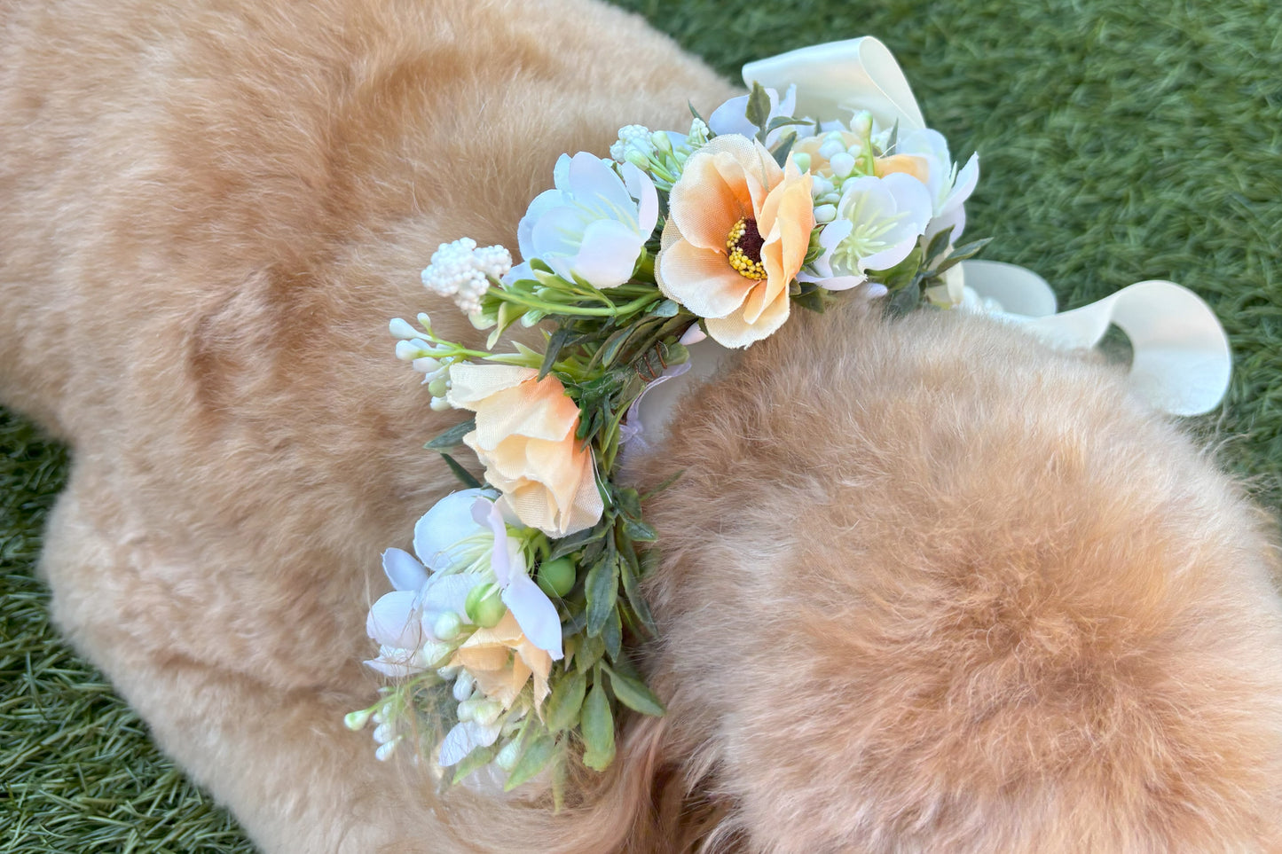 Full Flower Garland Dog Collar. Silk flower dog collar has a blend of buds and blossoms and a hint of woodland greenery, finished with ivory satin ribbon and attached to a white leather collar. Optional Ring Bearer Clasp