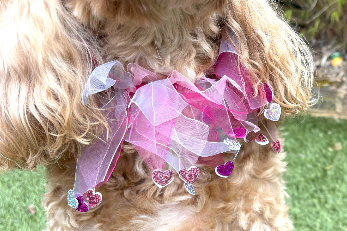 Elasticated love heart frill collar adds a touch of charm to your dog's look. Made from high-quality materials, this playful collar features a stylish love heart design and a decorative frill made of white and pink tulle ribbons. One size shown on Cockapoo model. Worn on its own or easily slipped on top of collar