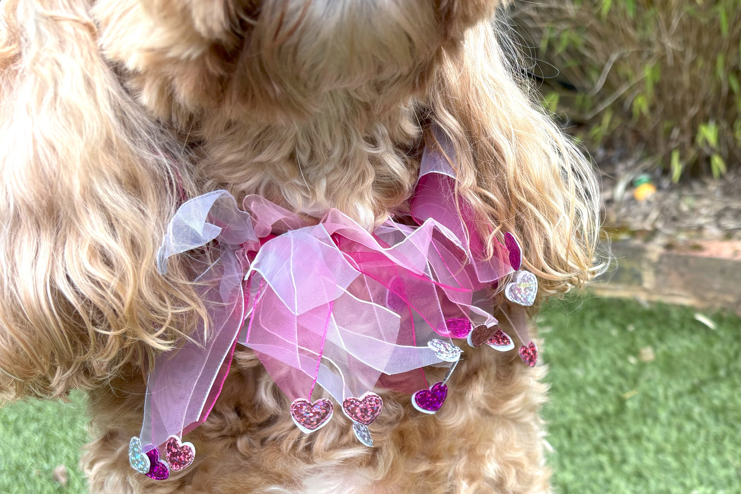 Elasticated love heart frill collar adds a touch of charm to your dog's look. Made from high-quality materials, this playful collar features a stylish love heart design and a decorative frill made of white and pink tulle ribbons. One size shown on Cockapoo model. Worn on its own or easily slipped on top of collar