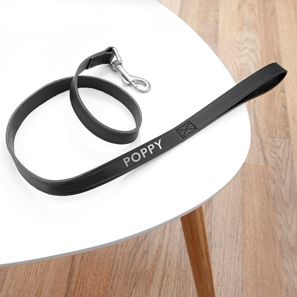 Personalised Leather Dog Lead in Three Colours