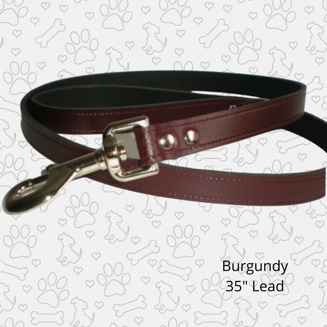 Leather Dog Lead