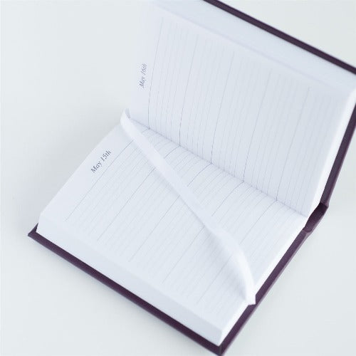 Page per view diary