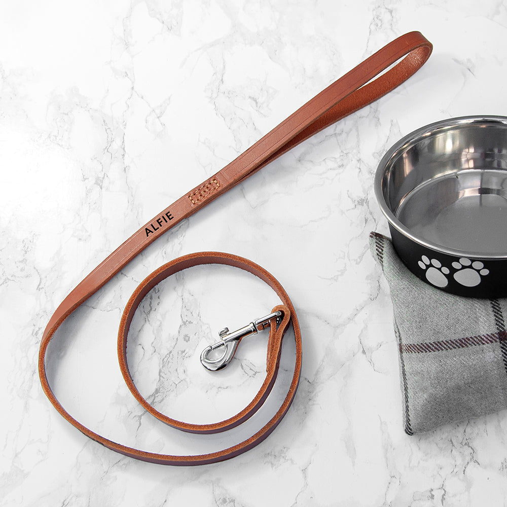 Personalised Leather Dog Lead in Three Colours