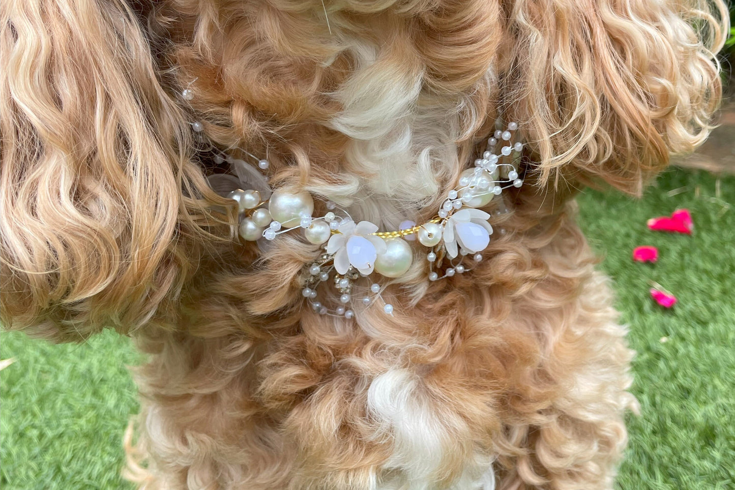 NEW! Pearl and Rhinestone Beaded Collar for Dogs at weddings and proposals