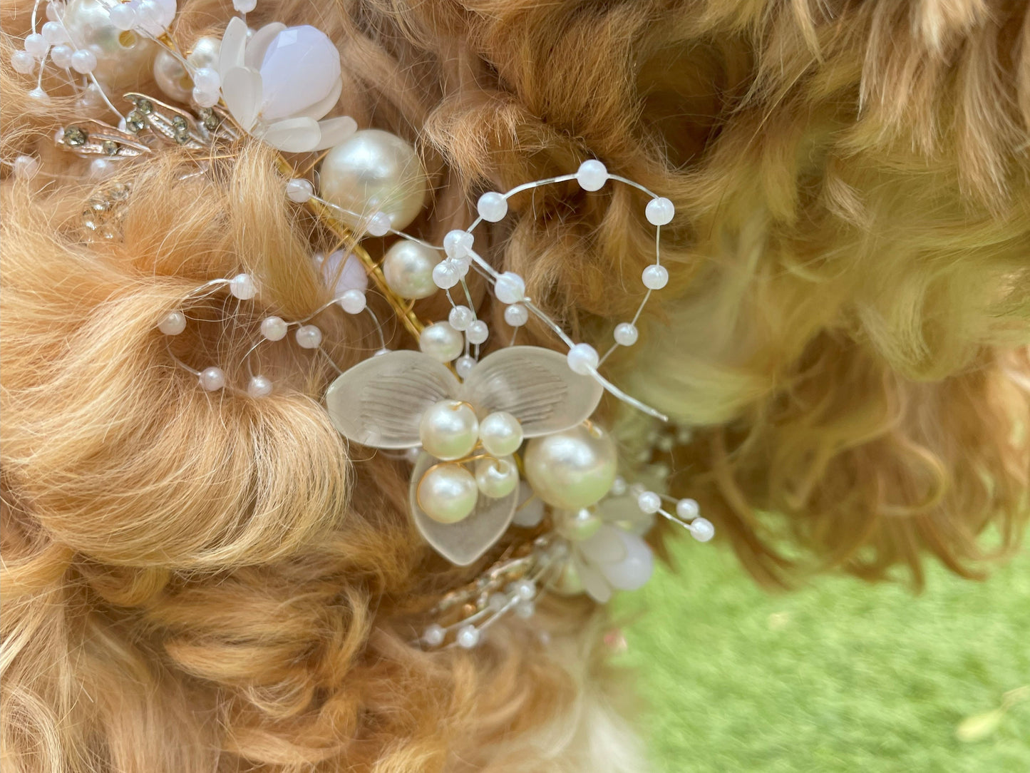 NEW! Pearl and Rhinestone Beaded Collar for Dogs at weddings and proposals