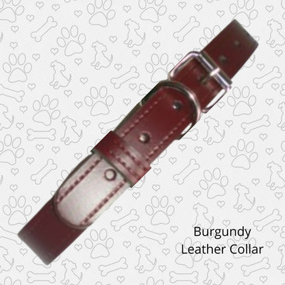 Burgundy leather collar