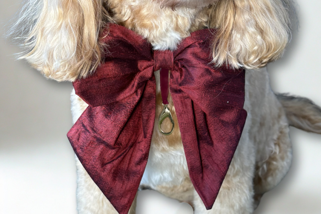 Dog wears 100% silk dupion burgundy red  sailor bow on leather collar with optional ring bearer clasp