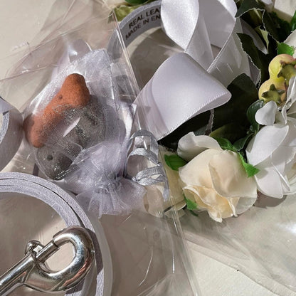 carefully packaged and includes dog treats