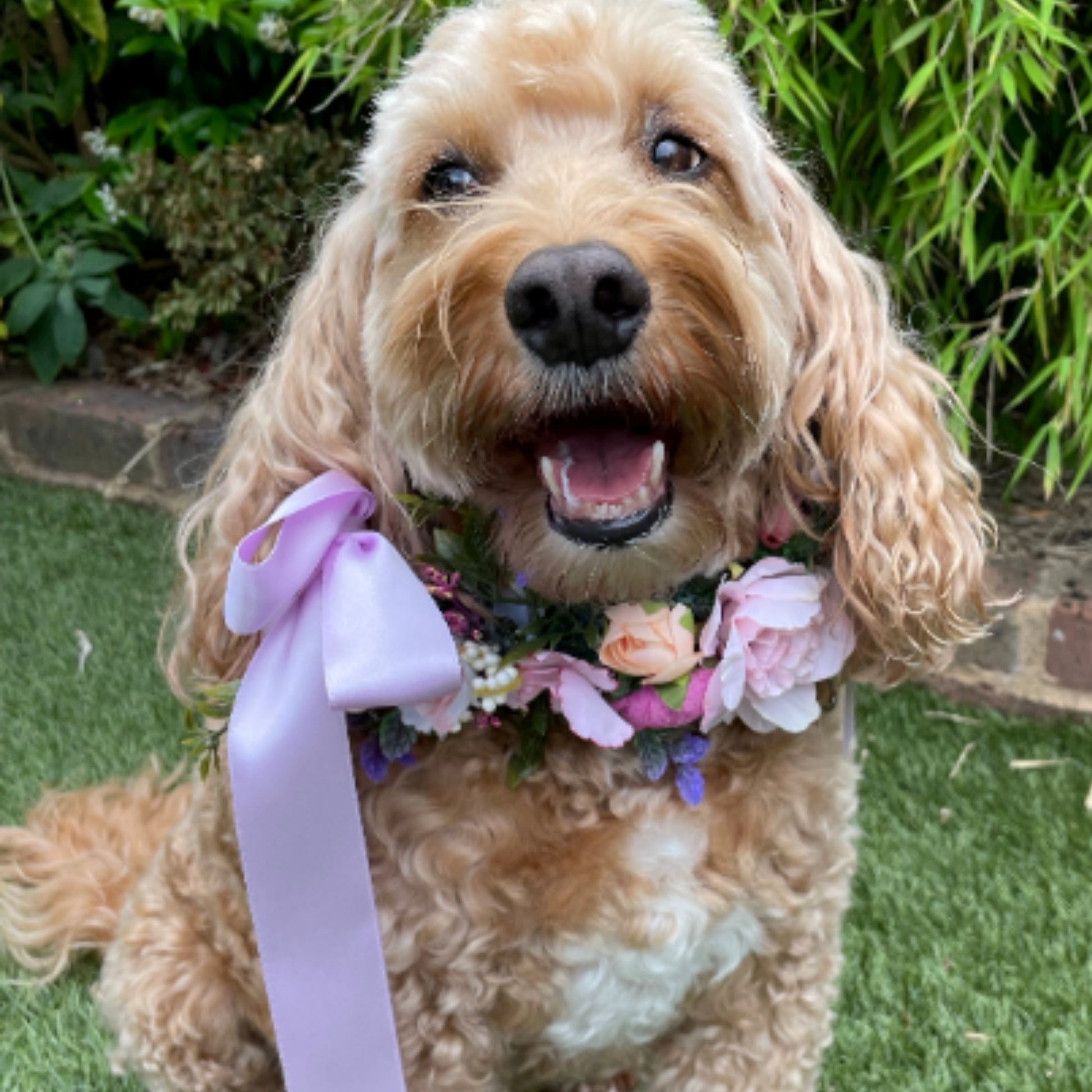 Dog flower garland on leather collar lilac tones