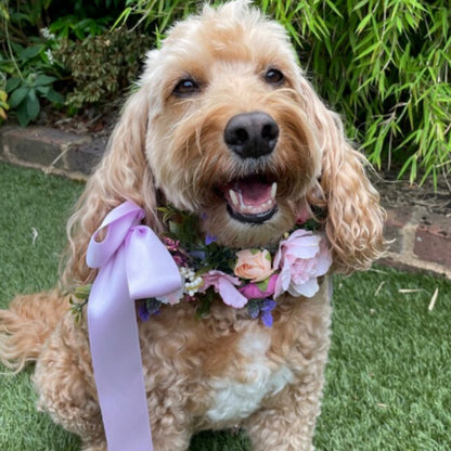 Dog flower garland on leather collar lilac tones