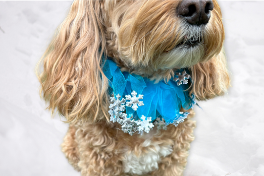 Blue tulle ribbons entwined on a comfortable elastic band frill. Each ribbon is adorned with silver snowflakes