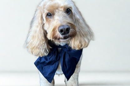 Navy 100% silk dupion Sailor Bow Tie (optional ring bearer clasp available)