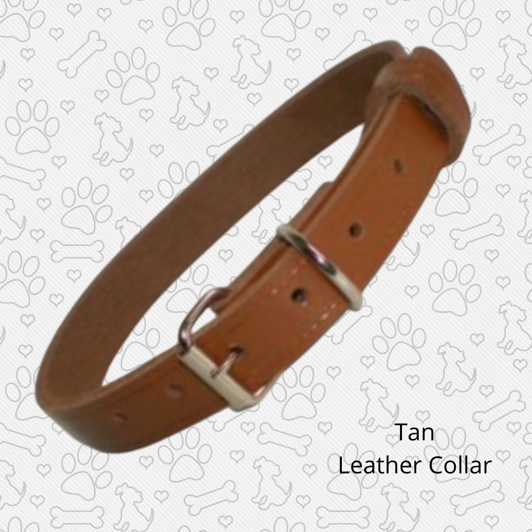 Tan leather collar