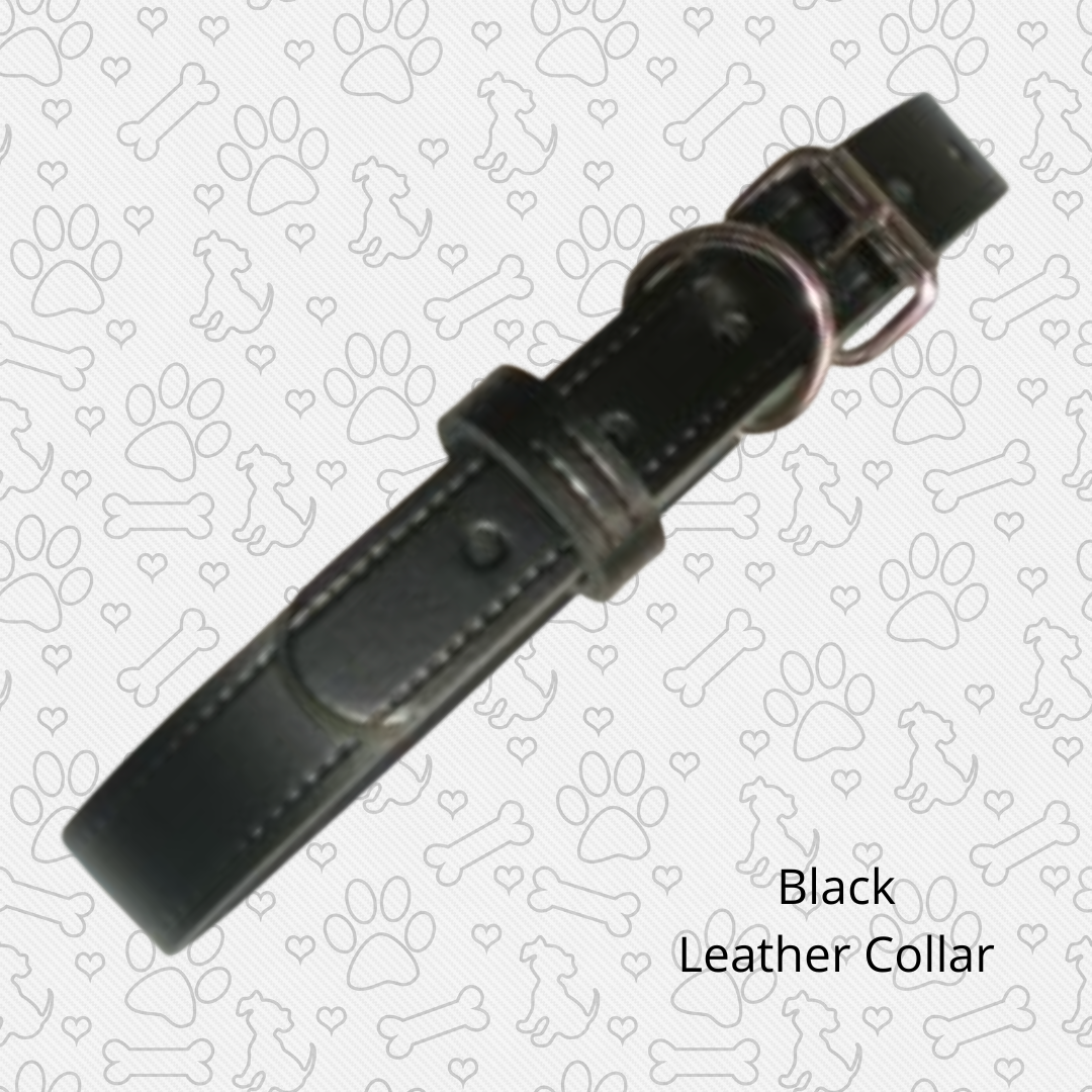 Black leather collar