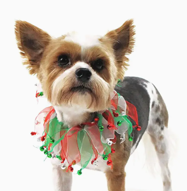 Red white and green tulle dog frill with jingle bells