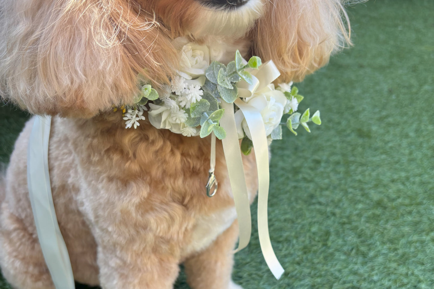 Ivory Silk Dog Ring Bearer Collar. Featuring delicate ivory silk roses and buds with a touch of woodland frosted greenery, this collar is finished with your choice of satin ribbon to match your colour scheme. Optional ring bearer clasp