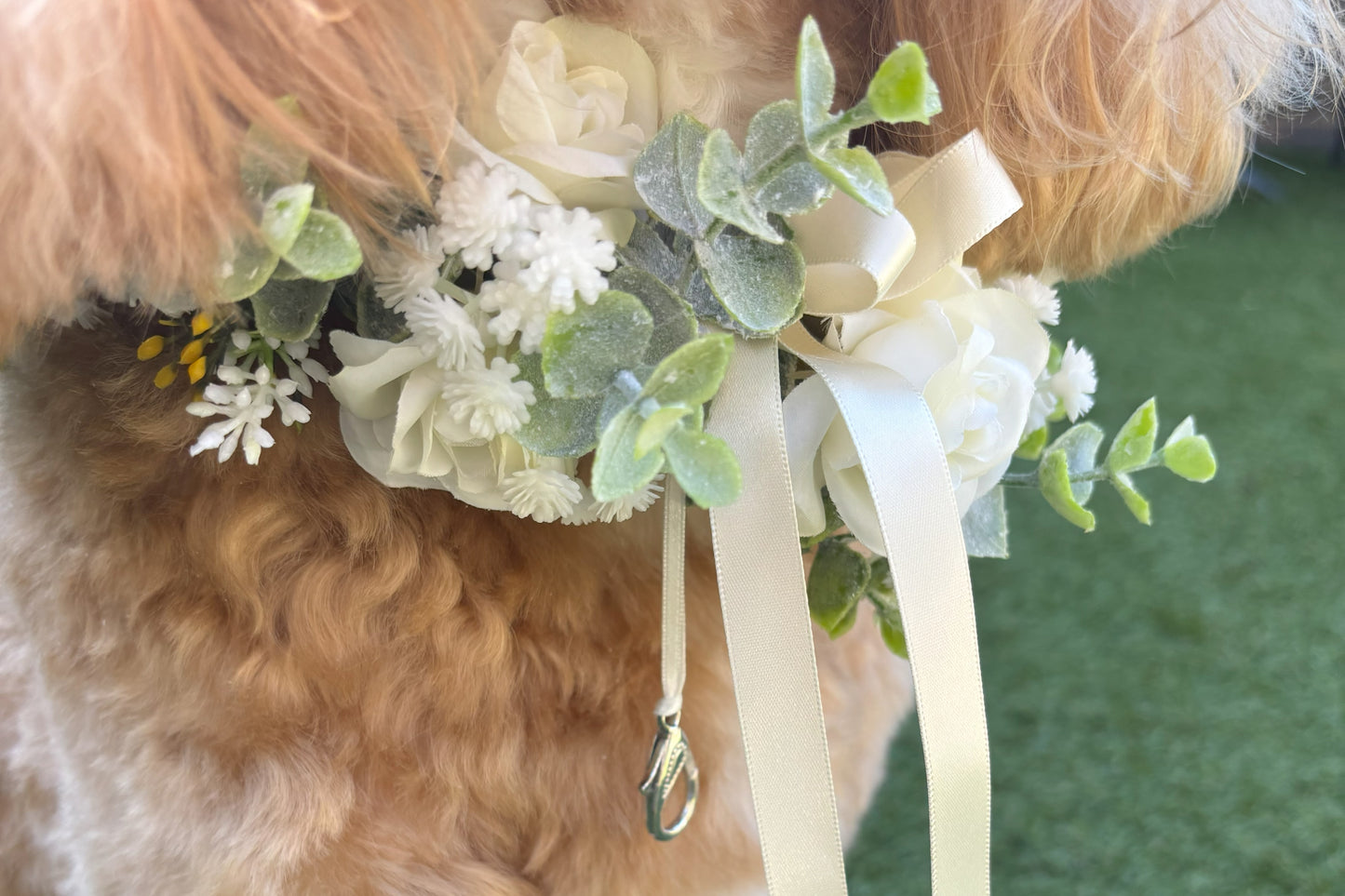 Ivory Silk Dog Ring Bearer Collar. Featuring delicate ivory silk roses and buds with a touch of woodland frosted greenery, this collar is finished with your choice of satin ribbon to match your colour scheme. Optional ring bearer clasp