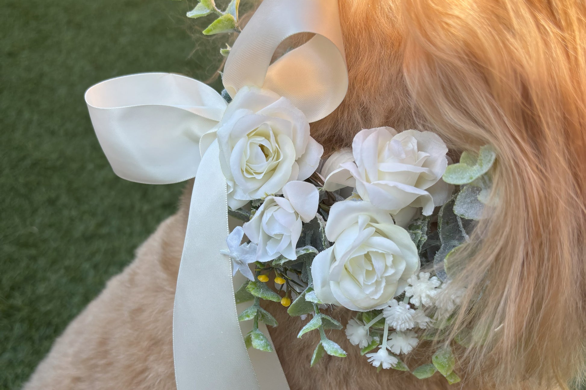 Ivory Flower Dog Wedding Collar with Optional Ring Carrier