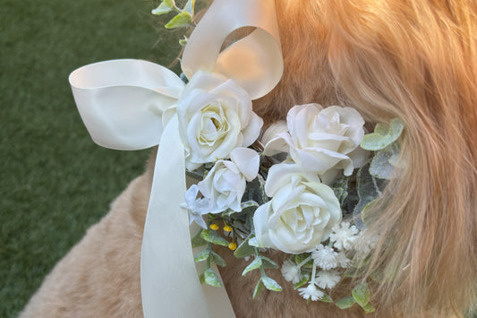 Ivory Silk Dog Ring Bearer Collar. Featuring delicate ivory silk roses and buds with a touch of woodland frosted greenery, this collar is finished with your choice of satin ribbon to match your colour scheme. Optional ring bearer clasp