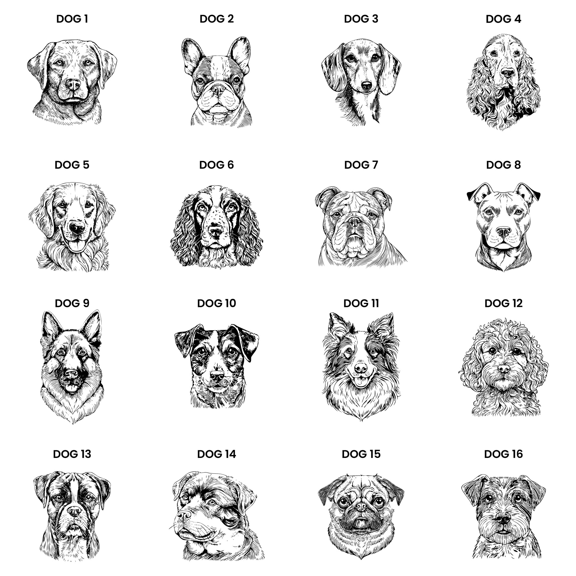 Choose from 16 breeds