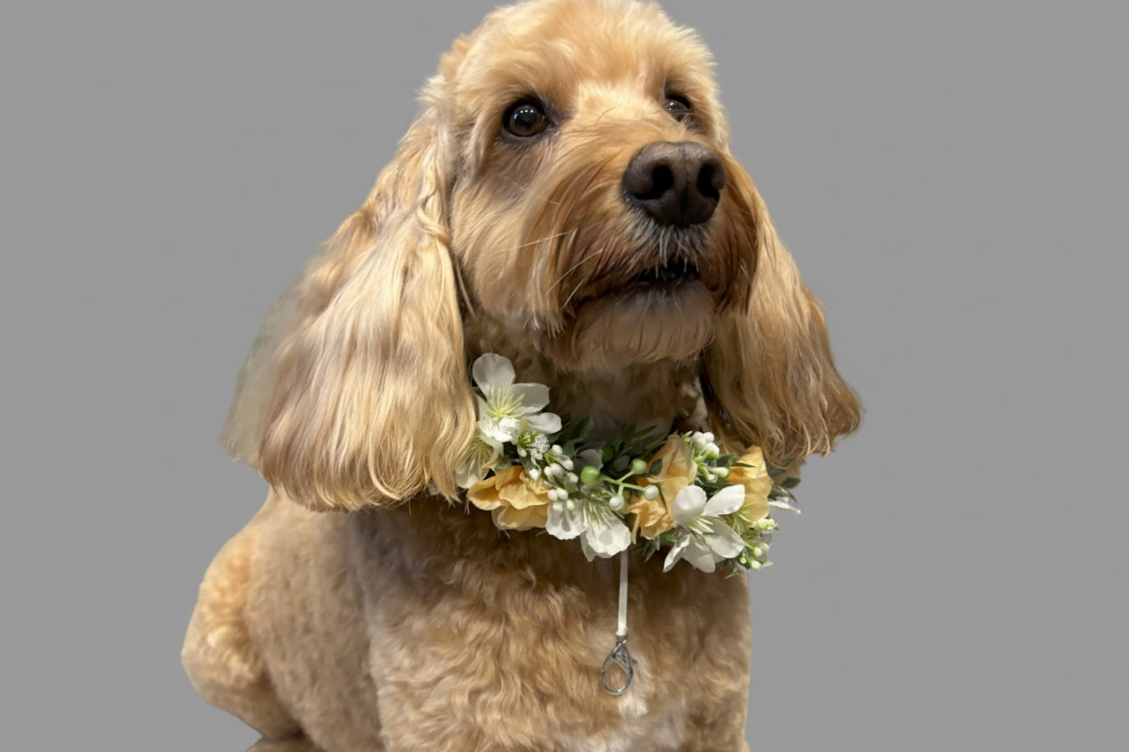 Full Flower Garland Dog Collar. Silk peach and ivory flower dog collar has a blend of buds and blossoms and a hint of woodland greenery, finished with ivory satin ribbon and attached to a white leather collar. Optional Ring Bearer Clasp 