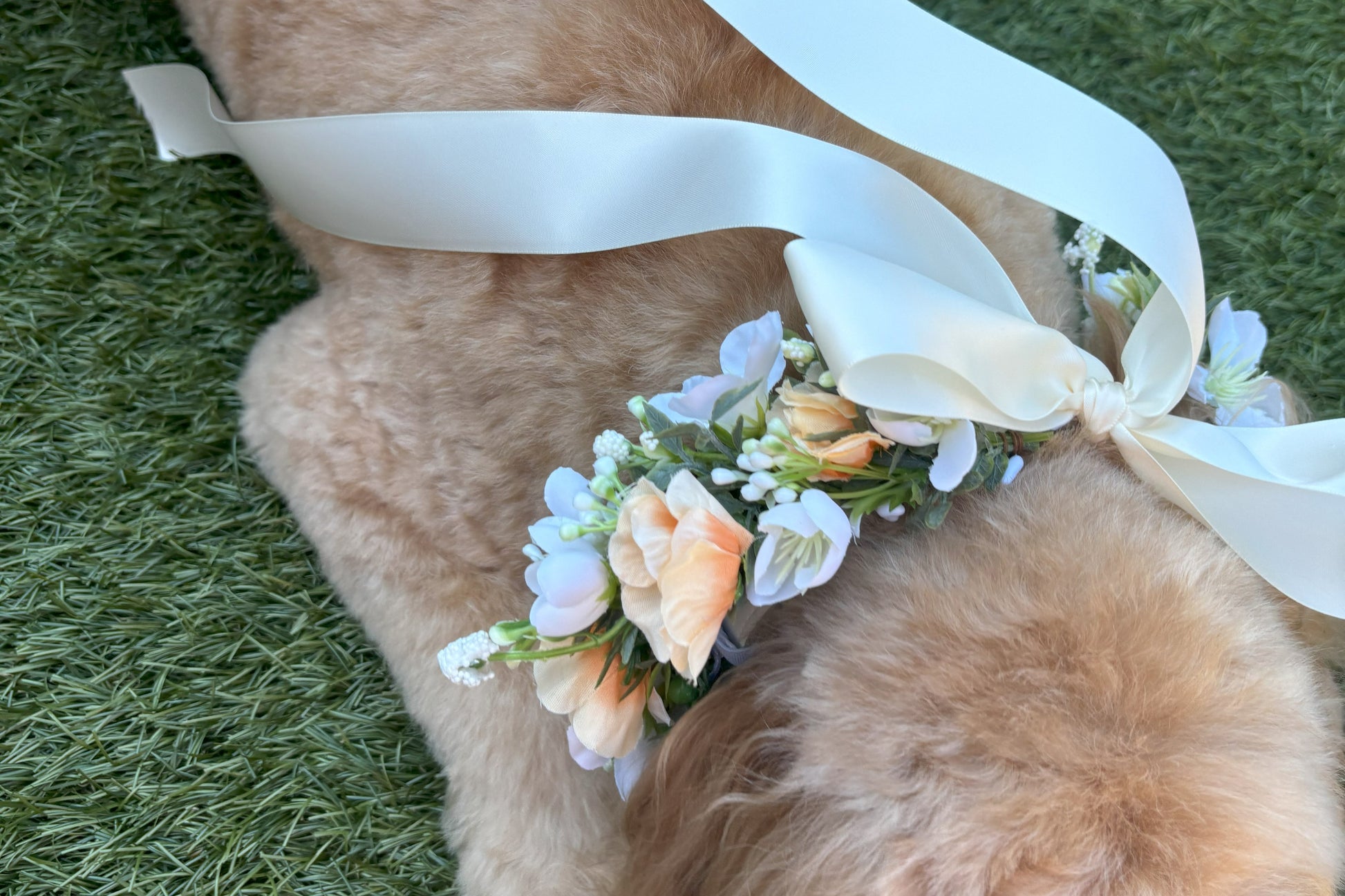 Full Flower Garland Dog Collar. Silk flower dog collar has a blend of buds and blossoms and a hint of woodland greenery, finished with ivory satin ribbon and attached to a white leather collar. Optional Ring Bearer Clasp