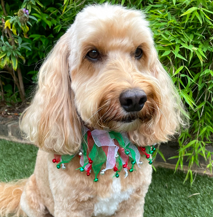 Red white and green tulle dog frill with jingle bells