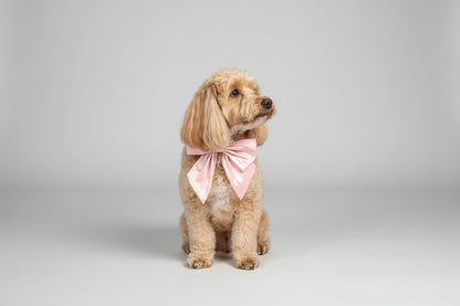 Pink 100% Silk Dupion Sailor Bow tie for dogs on leather collar