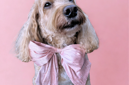 Pink 100% Silk Dupion Sailor Bow tie for dogs on leather collar. Optional ring bearer clasp available