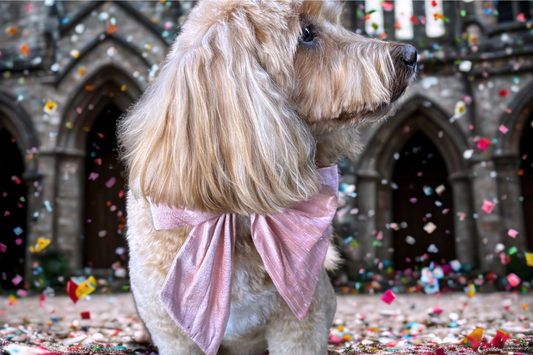 Pink 100% Silk Dupion Sailor Bow tie for dogs on leather collar