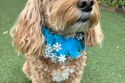 Decorative Silver and Blue Snowflake Christmas Dog Frill