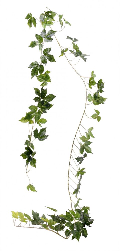 Vine Garland