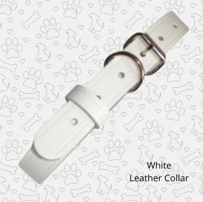 White leather collar