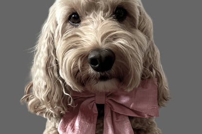 Pink 100% Silk Dupion Sailor Bow tie for dogs on leather collar
