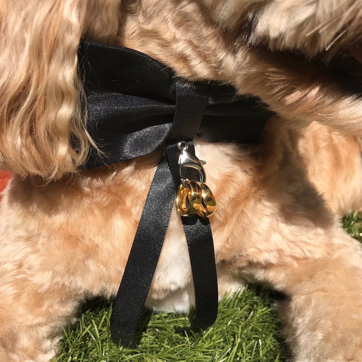 Black dog bow tie with optional ring carrier