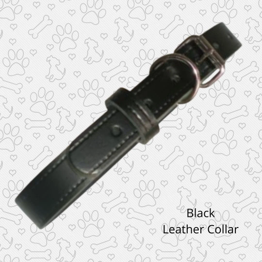 Black leather dog collar