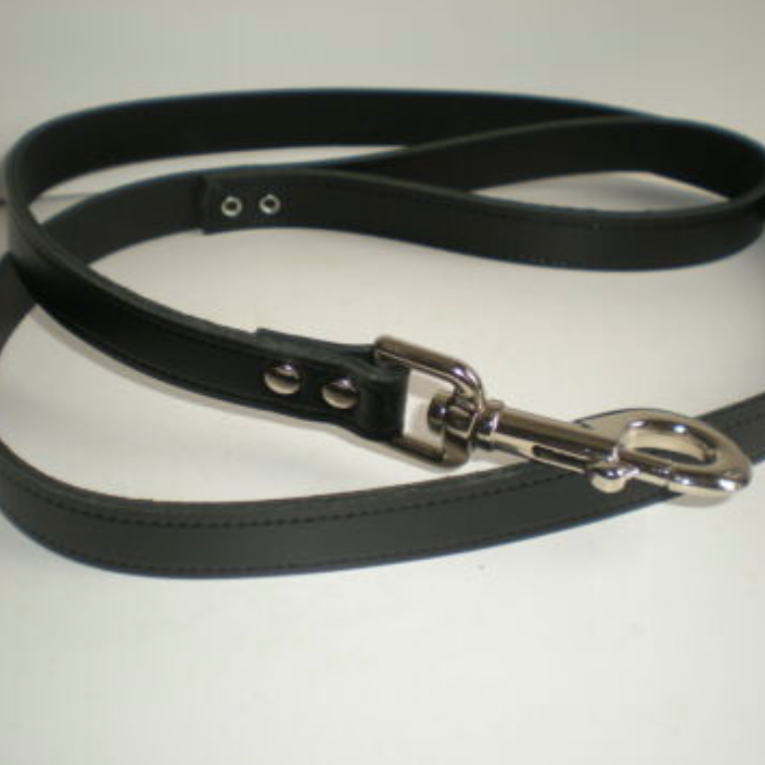 Matching black leather dog lead