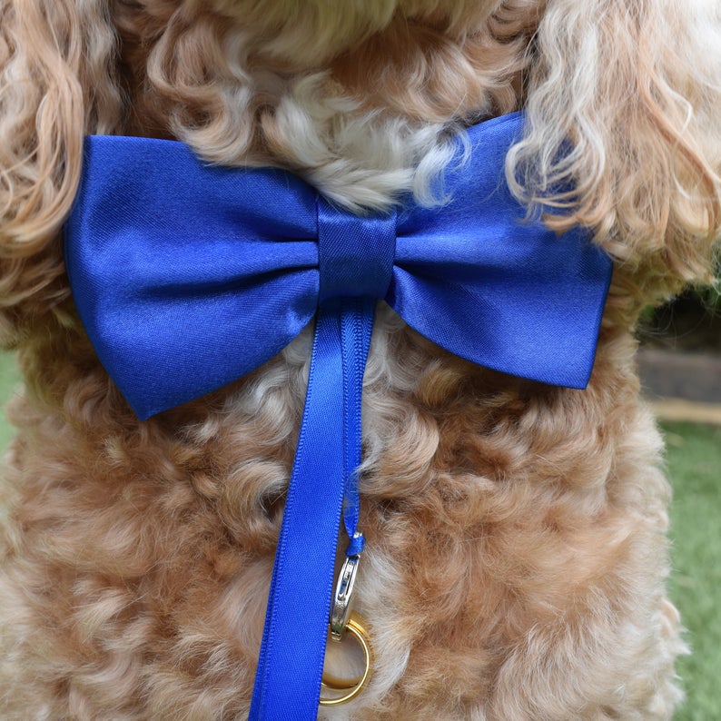 Close up of blue satin bow tie showing optional ring carrier