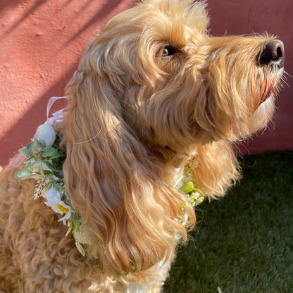 Camelia and greenery flower collar for dogs, fastened with crystal ribbon