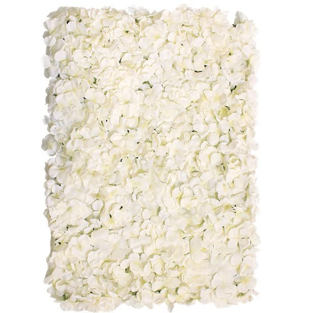 single cream hydrangea wall panel