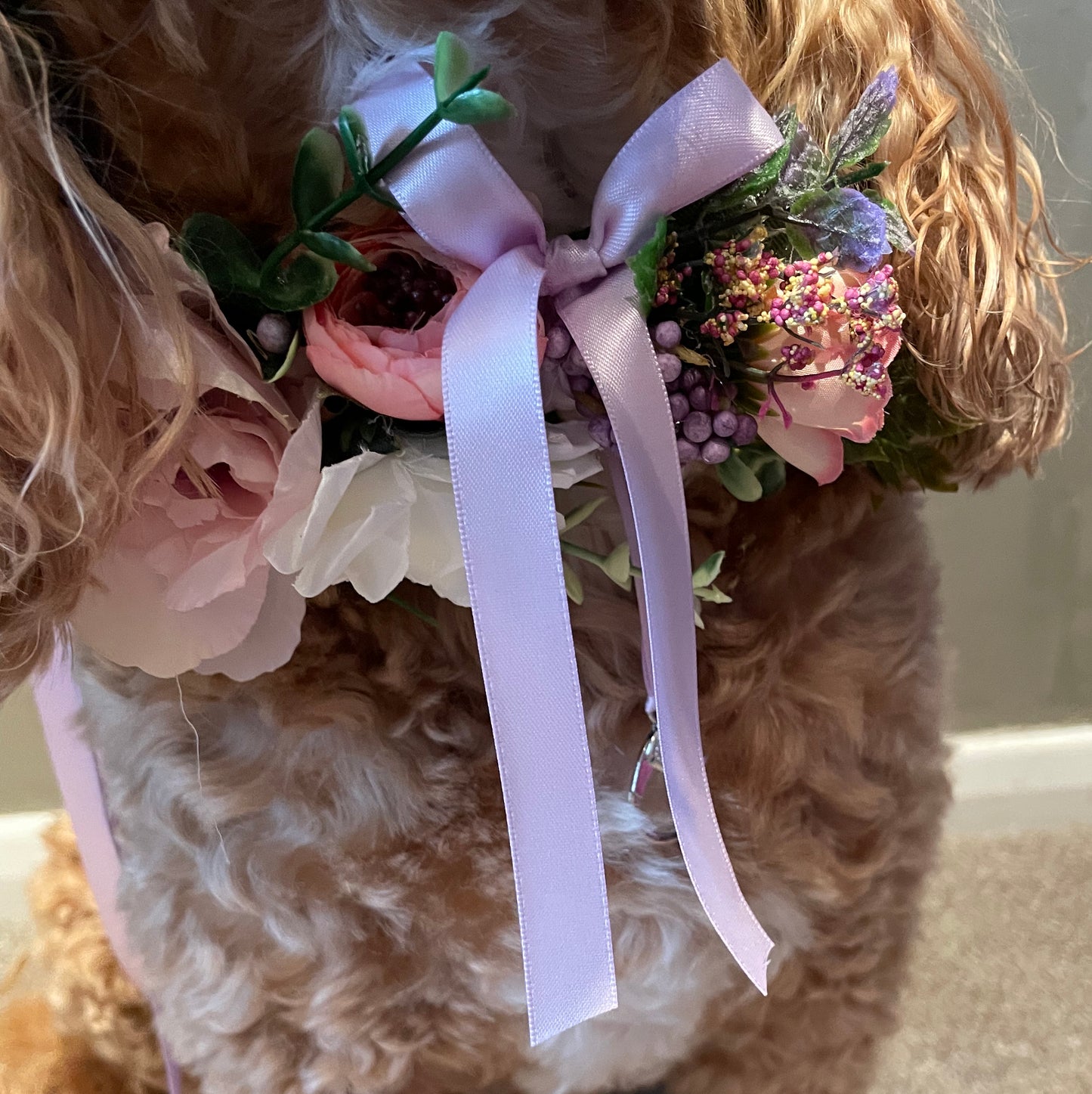 Dog flower collar shown with optional ring carrier