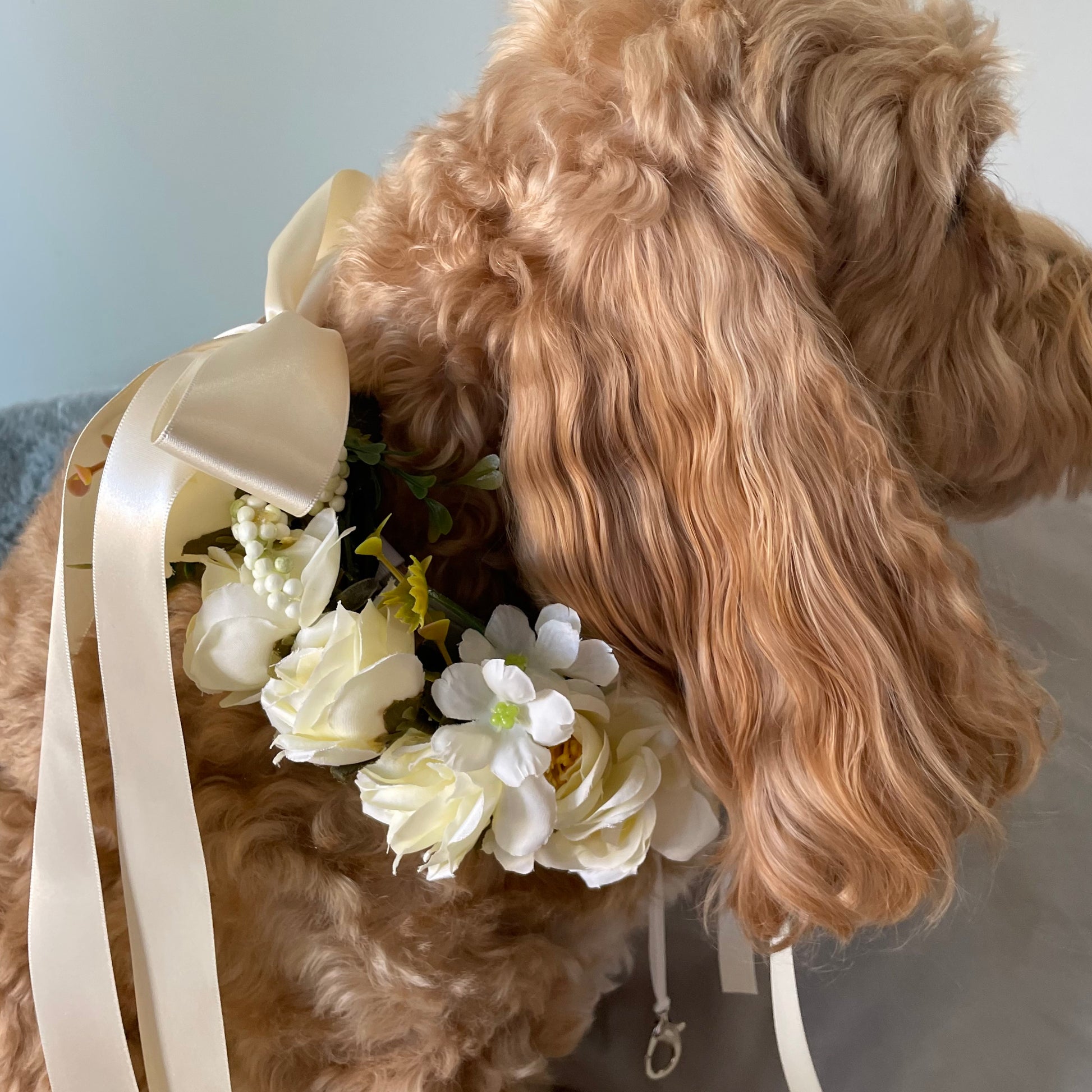 Side view of the iIvory flower  dog collar showing optional ring carrier