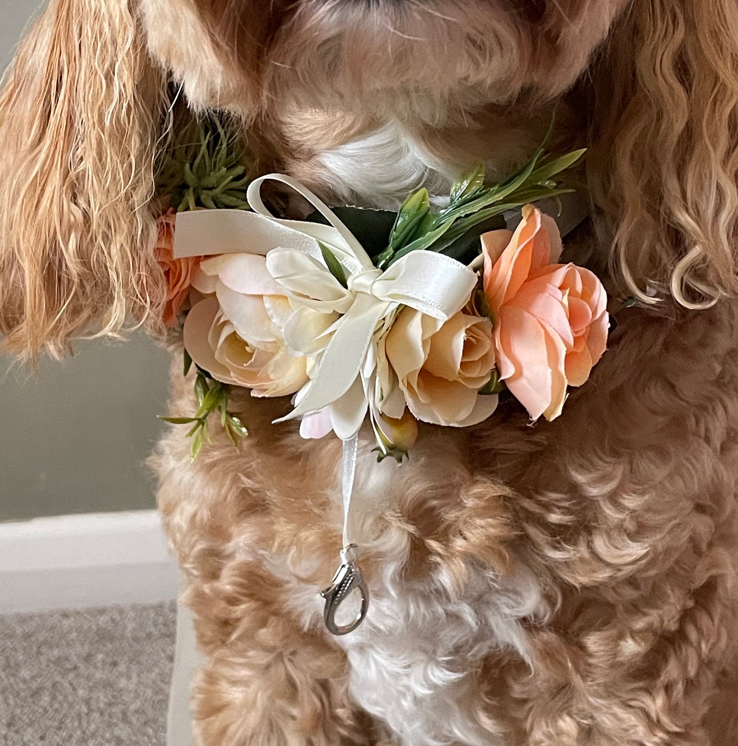 peach and ivory wedding ring bearer dog collar shown with optional clasp