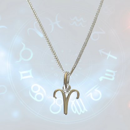 sterling silver Zodiac pendant necklace