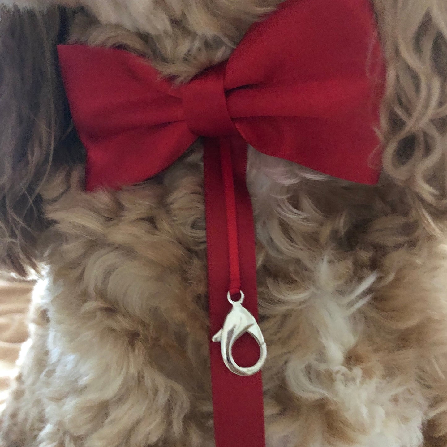 Red satin dog collar bow tie with ring carrier