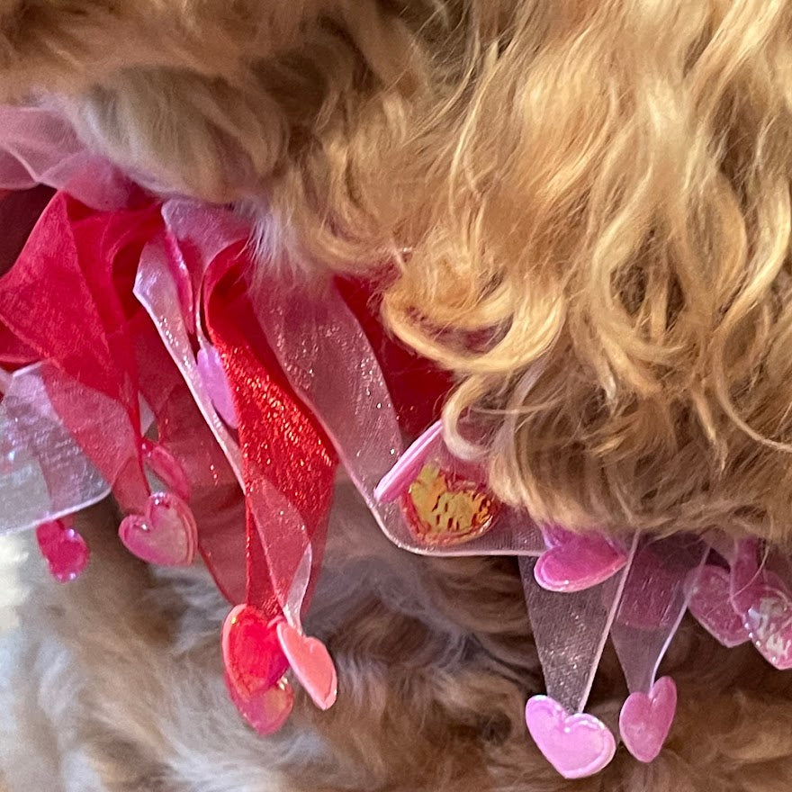 close up of hearts dog frill