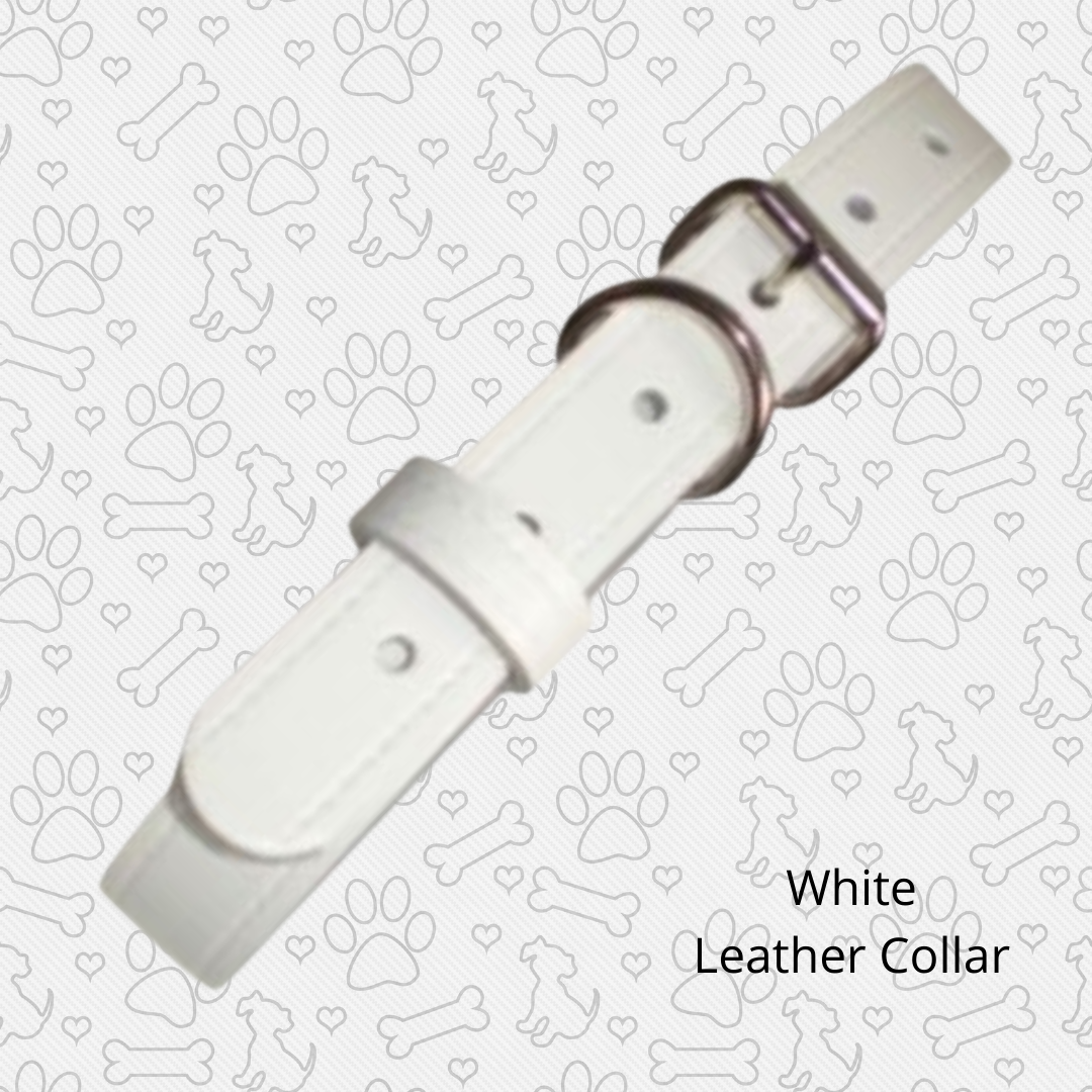 White leather collar on which the flower dog collar is sat. Flower collar is easily removed after the event. 