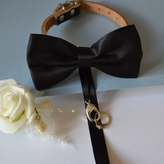 Dog bow tie on leather collar with optional ring carrier
